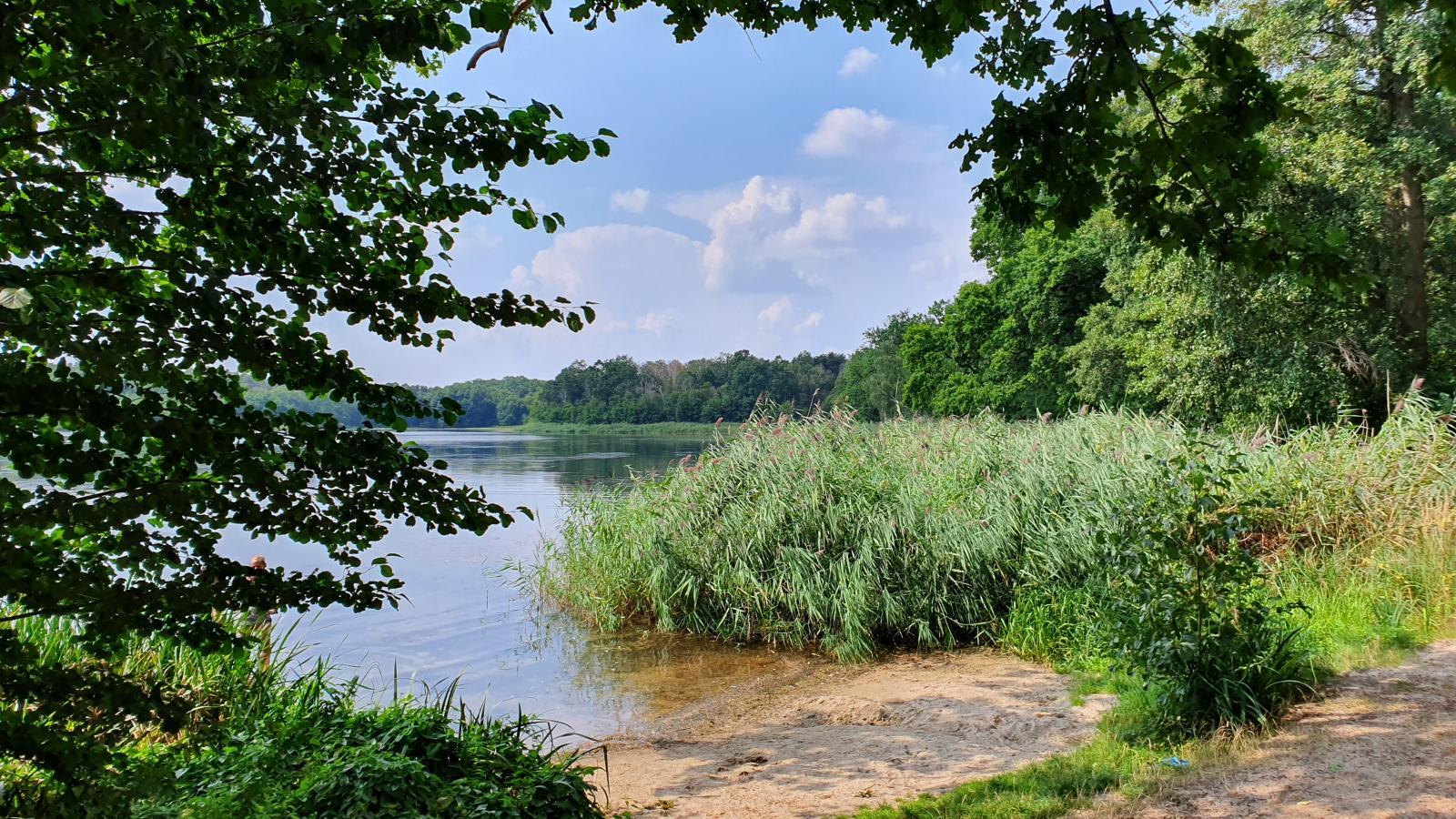 Großer Lausiger Teich