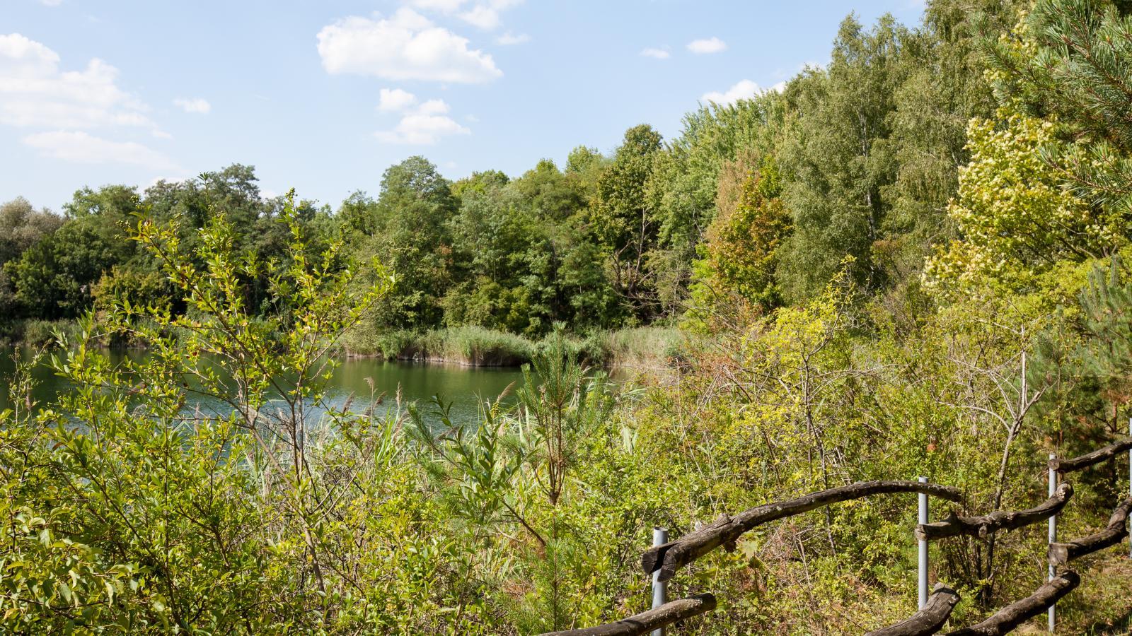 Sperenberg am Krummen See