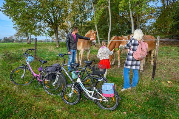 Familie mit Rädern an einer Pferdekoppel in der Dübener Heide